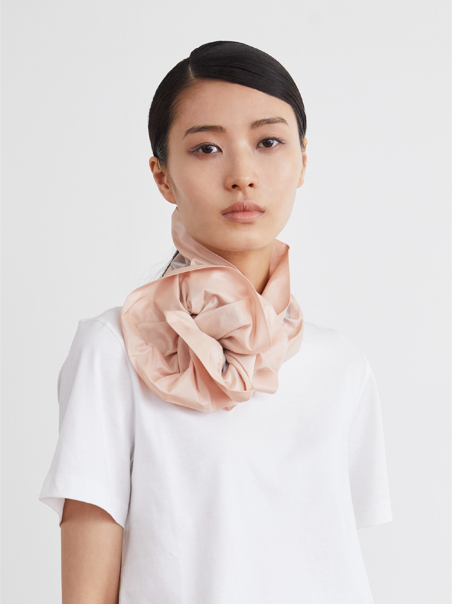 PALETTE – Limited Colors